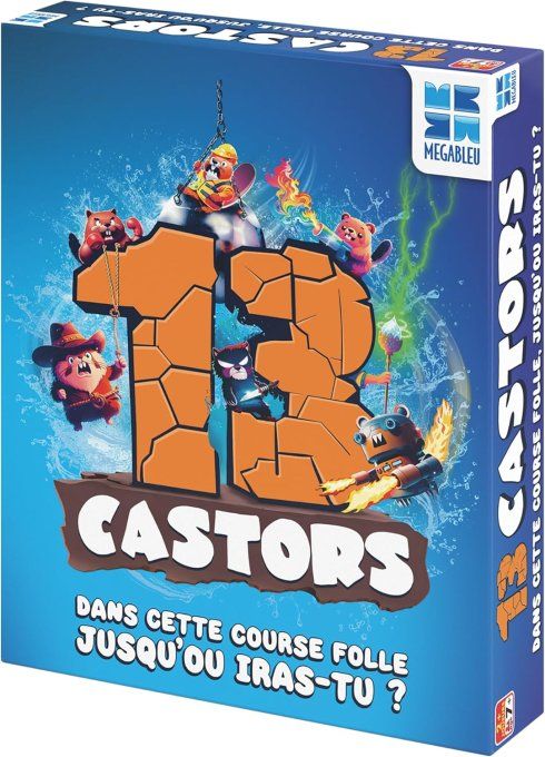 13 CASTORS